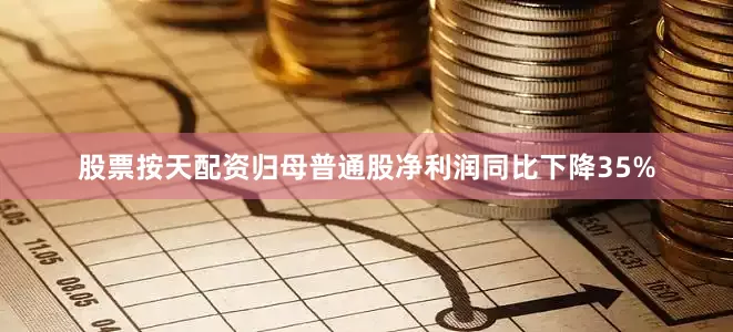 股票按天配资归母普通股净利润同比下降35%