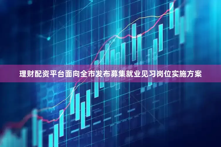 理财配资平台面向全市发布募集就业见习岗位实施方案